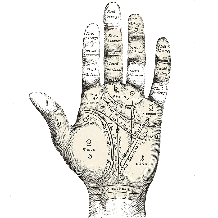 Palmistry Lines